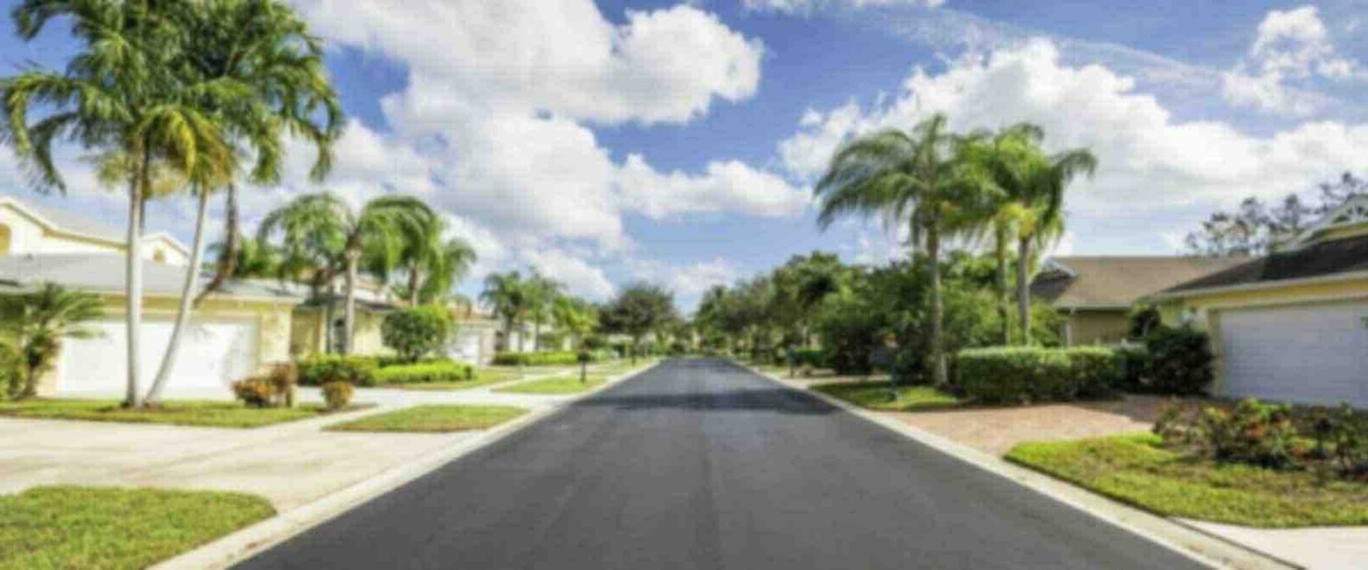 Boost Your Property's Value: How Professional Tree Service Can Help Sell My House For Cash In Pembroke Pines