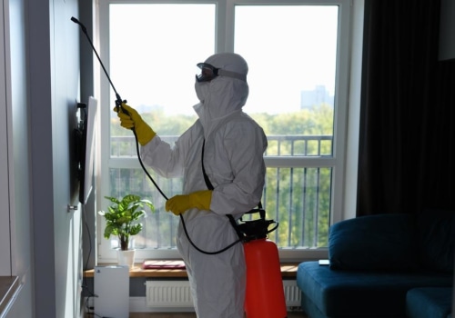 From Infestation To Investment: How Home Sellers Can Benefit From Pest Exterminators Before 